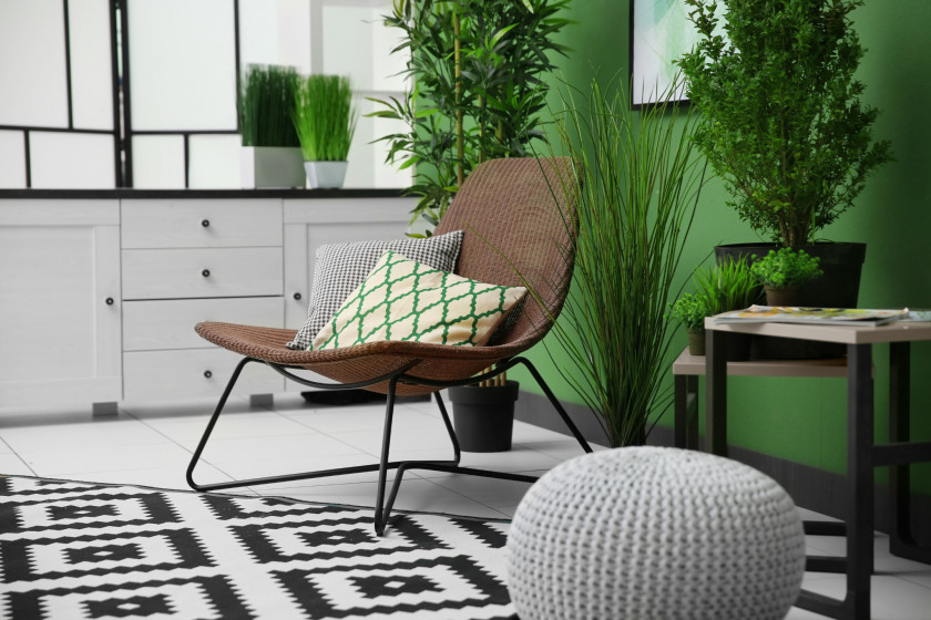 Wohnbereich mit Sessel, Pflanzen und grün gestrichener Wand