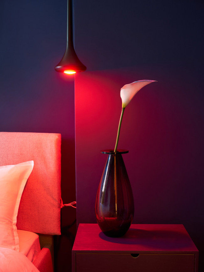 Shelly Home smarte Glühbirne für farbiges Licht in einer Pendelleuchte