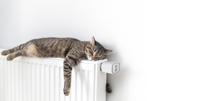 Shelly smartes Heizkörper Thermostat mit Katze auf der Heizung