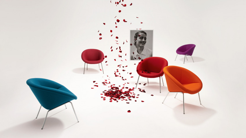 Sessel 369 von Walter Knoll min verschiedenen Farben