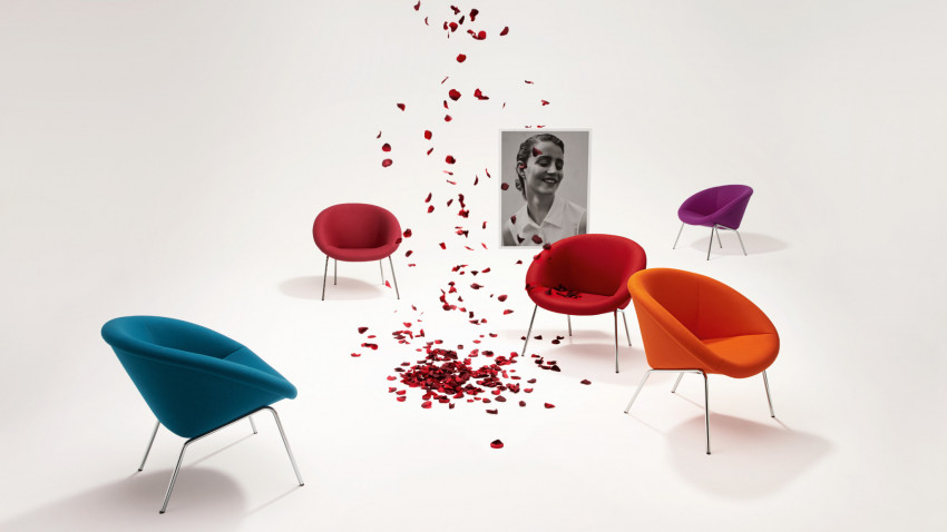 Sessel 369 von Walter Knoll in verschiedenen Farben
