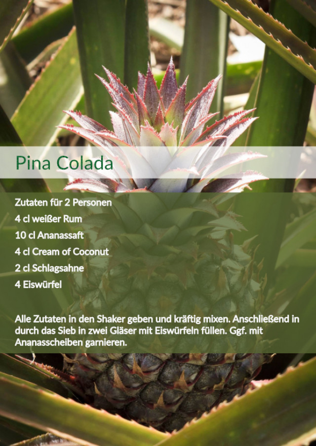 Cocktail Rezept für Pina Colada